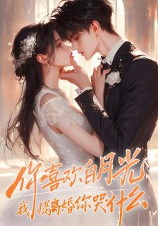 你喜欢白月光，我提离婚你哭什么？小说全章节目录阅读BY天天有肉吃完结版阅读