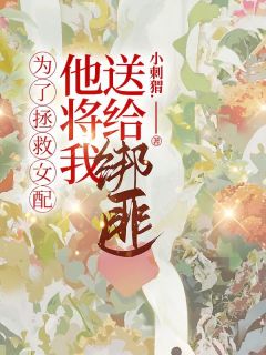 爆款小说为了拯救女配，他将我送给绑匪主角苏宁陆晨全文在线完本阅读-二筒文学网