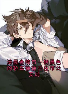 主角苏晨陈启明小说爆款清晨金陵市一辆黑色的轿车徐徐开往市公安局完整版小说