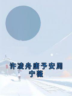 作者佚名写的许凌舟唐予安周宁薇小说大结局全章节阅读