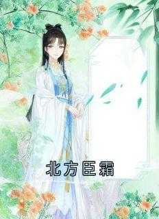 沈清漪谢臣宁小说抖音热文北方臣霜完结版-二筒文学网