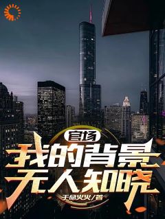 高质量小说都市：我在官场上逆袭人生在线试读-二筒文学网