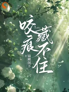 沈织星苏遇小说全章节目录阅读BY锦鲤阁下完结版阅读-二筒文学网