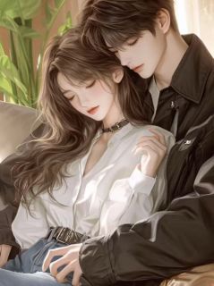 锦水汤汤，与君长决完整版-沈书吟贺景言在线全文阅读