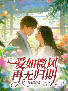 快手爱如微风，再无归期小说全本章节大结局