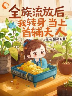 栾香橼栾半夏小说<全族流放后，我转身当上首辅夫人>全文在线阅读