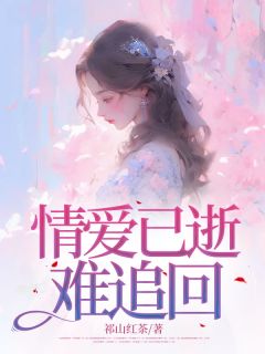 爆款小说情爱已逝，难追回在线阅读-许浅沈宴清免费阅读