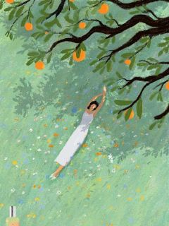 离婚后娘家不认我，却不知我分到十亿快手热推宁枝孟凌免费阅读