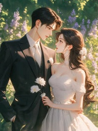 完整版飞蛾扑火，迷途不返念舒沈知期夏瑶小说免费在线阅读