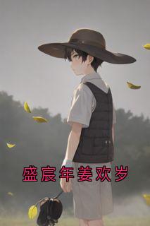 【盛宸年姜欢岁】主角(姜欢岁盛宸年)在线阅读