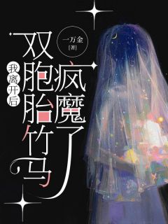 我离开后，双胞胎竹马疯魔了全本小说（我离开后，双胞胎竹马疯魔了）全文阅读