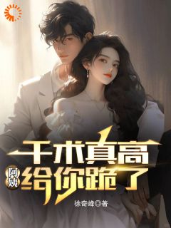 千术真高，阿姨给你跪了无弹窗在线阅读