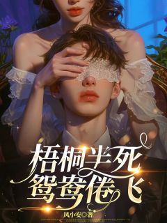 沈轻虞谢允梧桐半死，鸳鸯倦飞全文(沈轻虞谢允)章节免费阅读-二筒文学网