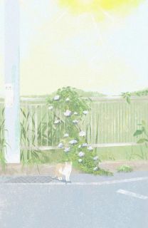 烟雨人间，似梦亦是真乔语程野小说全文阅读