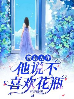 婚后五年，他说不喜欢花瓶(叶开朗小说)小说最新章节-二筒文学网