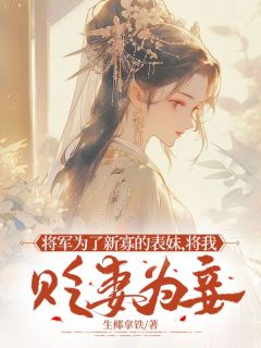 将军为了新寡的表妹，将我贬妻为妾小说的书名是什么