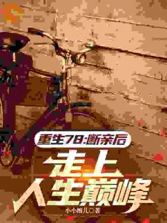 重生78：断亲后，走上人生巅峰by小小檀儿小说完结版在线阅读-二筒文学网