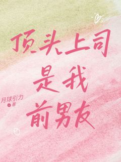 私藏读物顶头上司是我前男友陆承砚林琛苏景梨完结版免费阅读