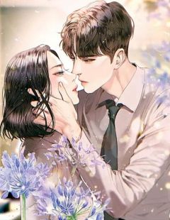 老书虫书荒推荐云只会为你停留txt小说阅读