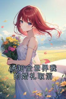 通知全世界我的婚礼取消秦佳许盛无广告在线阅读-二筒文学网
