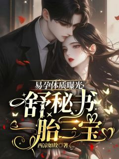 易孕体质曝光，舒秘书一胎三宝最新章节 颜舒霍屿州全文阅读