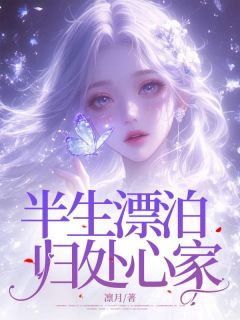 半生漂泊，归处心安洛子衿顾思舟全章节目录免费阅读