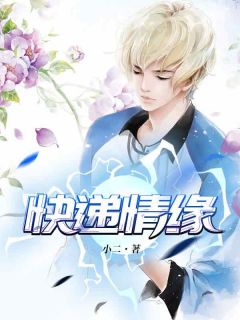 新上快递情缘小二小说免费阅读