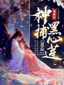 精彩小说夏听雨薛靖南朱雀司神捕是朵黑心莲全文目录畅读