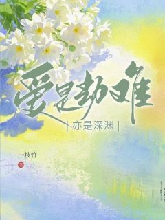 爱是劫难，亦是深渊小说的书名是什么