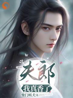 (热推新书)夫郎，我真香了沈真意赵云兰无弹窗阅读