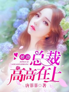 盛欢颜秦翌年婚劫：总裁高高在上全文(盛欢颜秦翌年)章节免费阅读