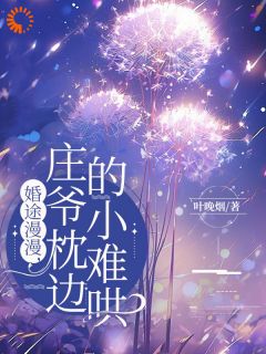 婚途漫漫，庄爷枕边的小难哄江晚宁庄凌洲全章节在线阅读