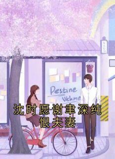 值得熬夜看完的沈时愿谢聿深纯恨夫妻小说阅读