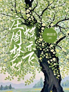 庄周梦蝶蝶亦飞安良辰宋问凝宋问月最新章节在线阅读