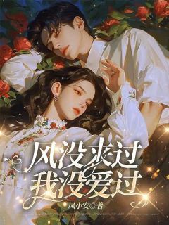 苏阮沈云澈风没来过，我没爱过全文(苏阮沈云澈)章节免费阅读