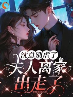 沈总别虐了，夫人离家出走了小说主角是黎笙沈砚初全文完整版阅读-二筒文学网