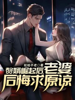 陈寒黎梦主角抖音小说赘婿崛起后，老婆后悔求原谅在线阅读