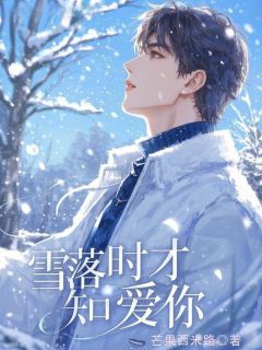 最新小说雪落时才知爱你主角贺书寒宁棠全文在线阅读-二筒文学网