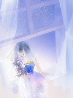 主角是稚安顾昔驰的爱在谎言中落幕抖音热门小说