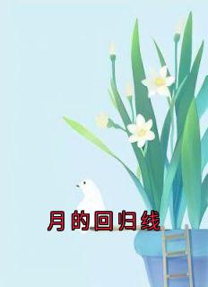 小说月的回归线主角为沈月张杨免费阅读-二筒文学网