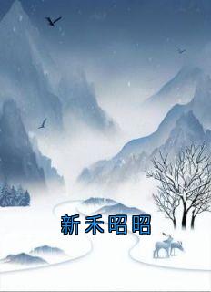 新禾昭昭陆震霆赵禾全章节目录免费阅读