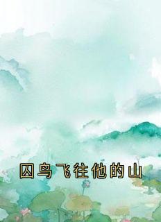 囚鸟飞往他的山林洛栖傅纪舟全章节在线阅读