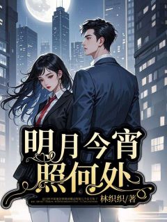 明月今宵照何处在哪免费看，鹿嘉禾贺砚州小说章节目录阅读