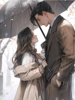 梦散难相逢大结局阅读 苏枝意晏辰年小说在线章节