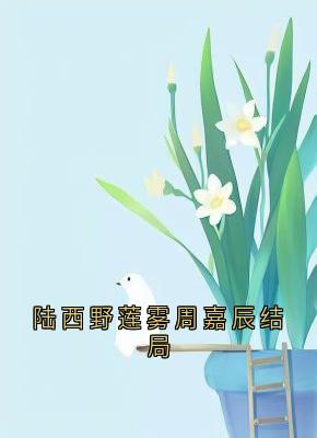 (抖音)陆西野莲雾周嘉辰结局 主角连雾陆西野-二筒文学网