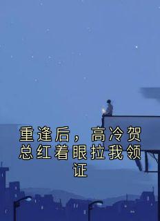 重逢后，高冷贺总红着眼拉我领证(新书)大结局在线阅读-二筒文学网