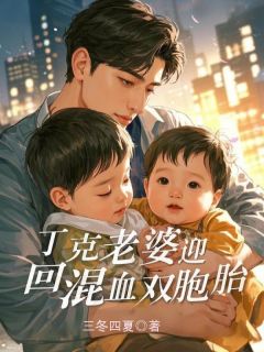丁克老婆迎回混血双胞胎【全章节】姜慕瑶陆子明完结版免费阅读-二筒文学网