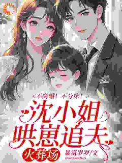 重生后，傲娇千金每天都在追夫沈念安霍瑾川全本小说（重生后，傲娇千金每天都在追夫）全章节小说目录阅读