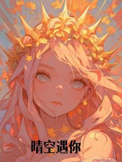 小说晴空遇你主角为林冉顾承渊慕景川免费阅读