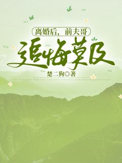 快手离婚后，前夫哥追悔莫及小说全本章节大结局-二筒文学网